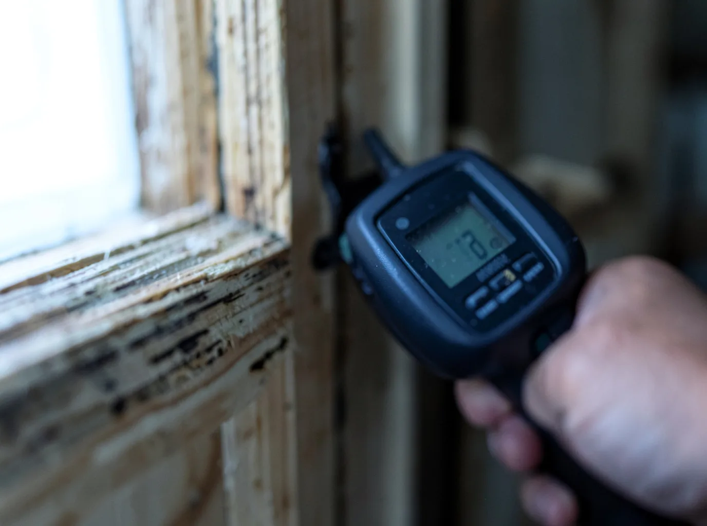 Moisture Inspection And Documentation in Naugatuck, CT